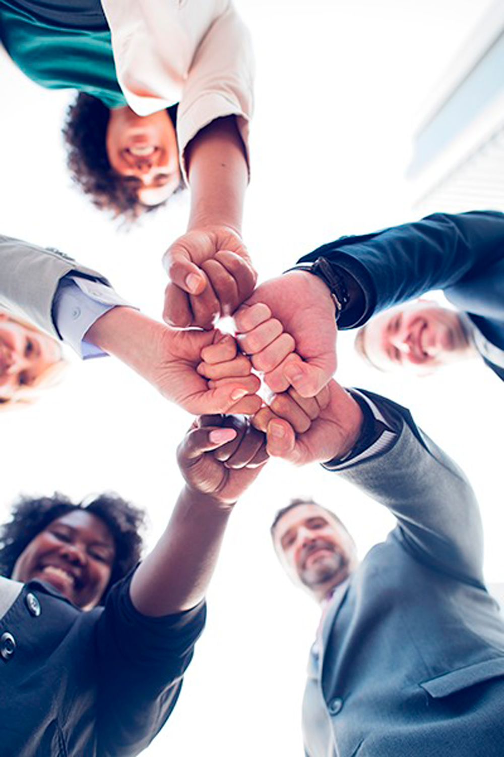 Valores de Industrias Fino Rey